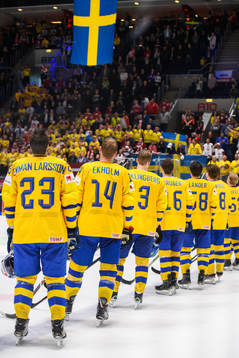 The players of Sweden