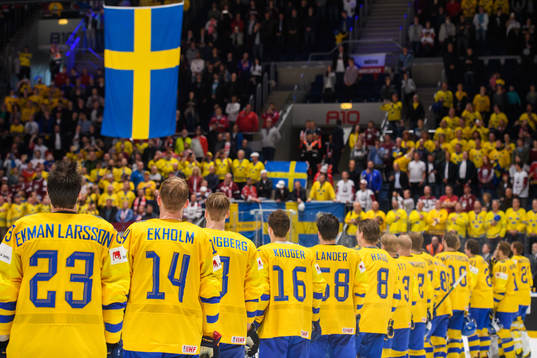 The players of Sweden