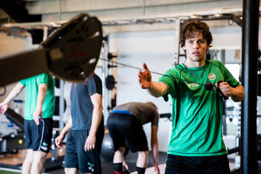 Rögles Dominik Bokk