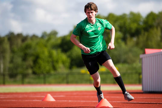 Rögles Dominik Bokk
