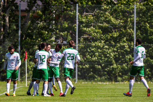 Press Birliks spelare jublar