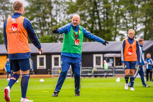 Magnus Wikman, Assistant coach of Swedish women national
