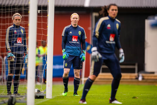 Goalkeeper Jennifer Falk,  Hedvig Lindahl and  Zecira