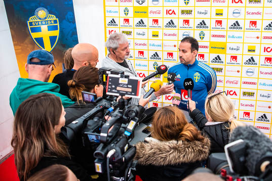Ali Kad, Doctor for the Swedish women national football team