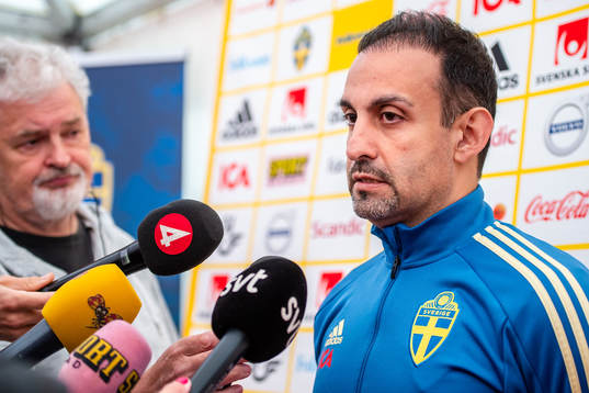 Ali Kad, Doctor for Swedish women national football team