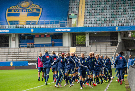 Players of Swedish women national football team