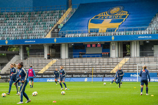 Players of Swedish women national football team