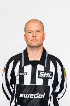 Domare Ludvig Lundgren