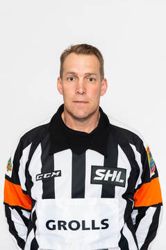 Domare Morgan Johansson