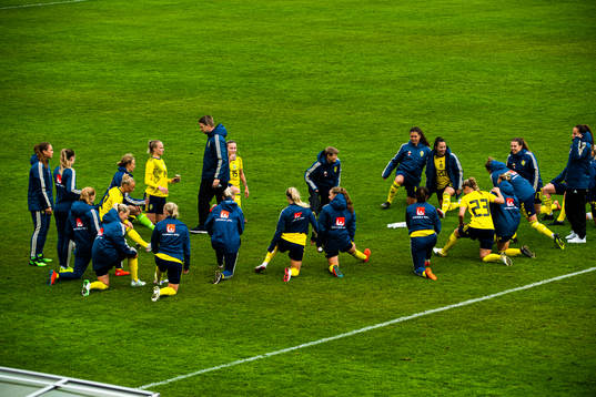 Sveriges spelare