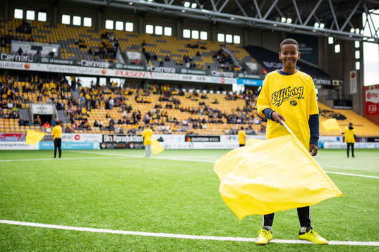 Ungdomar med fanor