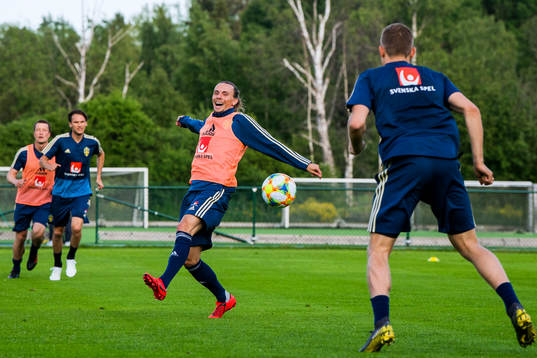 Niklas Hult of the Swedish national football team