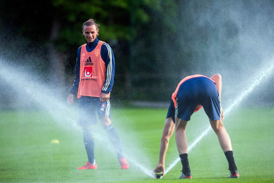 Niklas Hult of the Swedish national football team