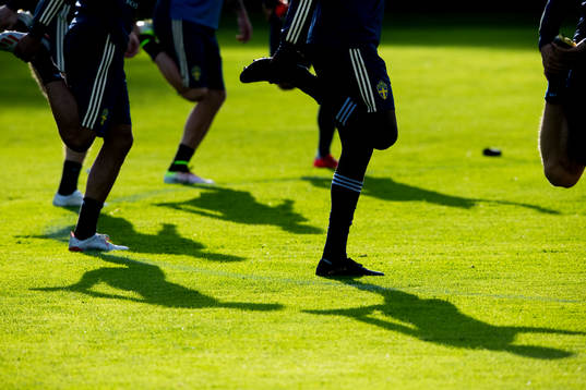 Players of the Swedish national football team