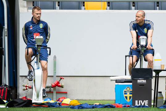 Sebastian Larsson and Per Karlsson of the Swedish national