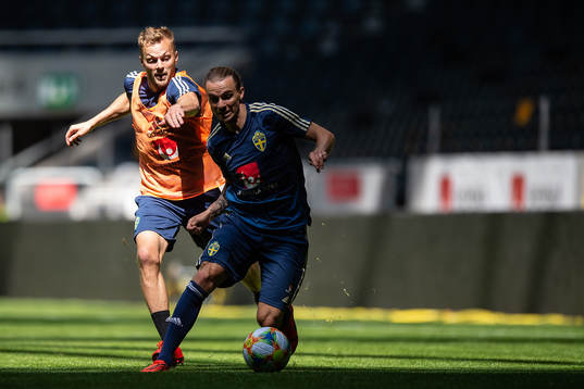 Sebastian Larsson and Niklas Hult of the Swedish national