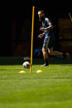 Jimmy Durmaz of the Swedish national football team