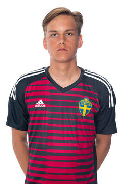 Hannes Sveijer i P17-landslaget