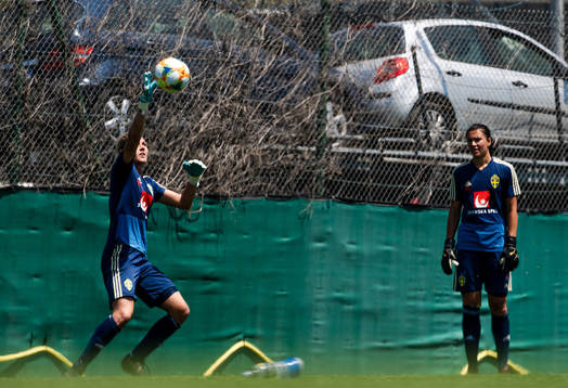 Goalkeepers Jennifer Falk and Zecira Musovic of Sweden