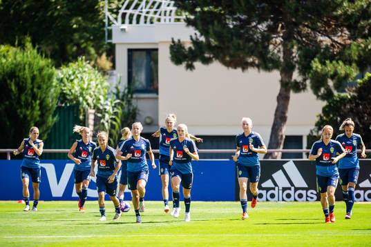 Players of Sweden
