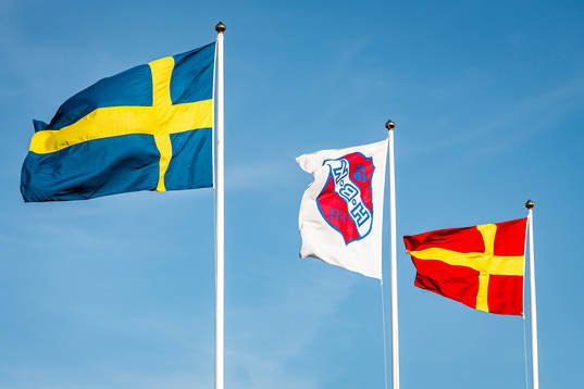 Svenska flaggan, Höganäs BKs flagga med klubbmärket på
