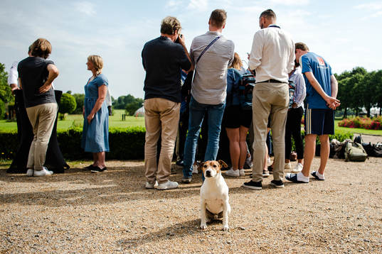 Quick, the Hotel dog infront of members of the media