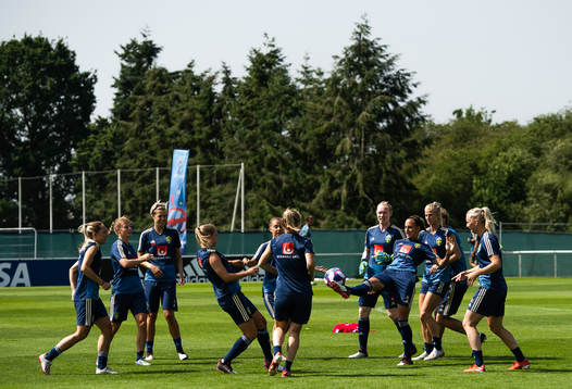 Players of Sweden