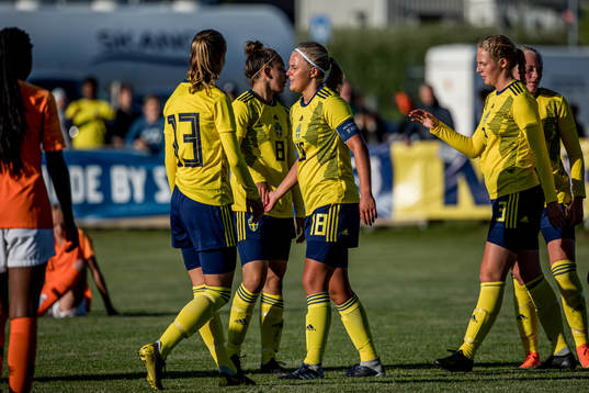 Sveriges spelare  jublar fter matchen