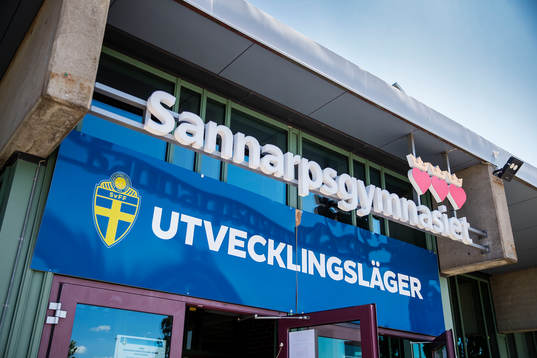 Banderoll med texten Utvecklingsläger