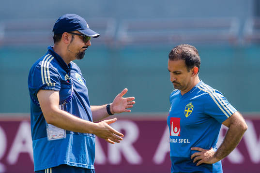 Houman Ebrahimi and Ali Kad, Doctors of Sweden