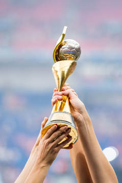 The trophy at the FIFA Women's World Cup final between USA