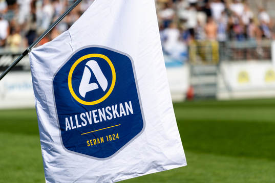Flagga medallsvenskan