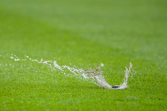 A sprinkler