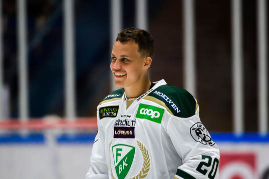 Iowa Wild, Joel Eriksson Ek