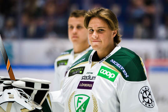 San Diego Gulls, Olle Eriksson Ek
