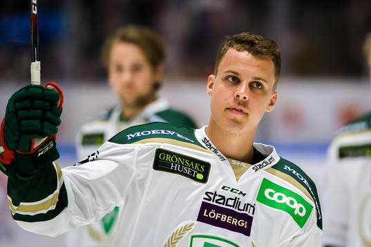 Iowa Wild, Joel Eriksson Ek