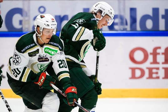 Iowa Wild, Joel Eriksson Ek och Edmonton Oilers Joakim