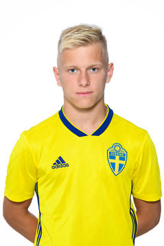Viggo Palffy i P15-landslaget