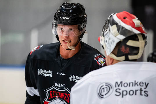 Bläddra bland fler bilder av Ishockey, SHL, Malmö Redhawks, träning