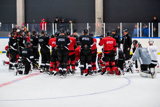 Malmö Redhawks spelare samlade