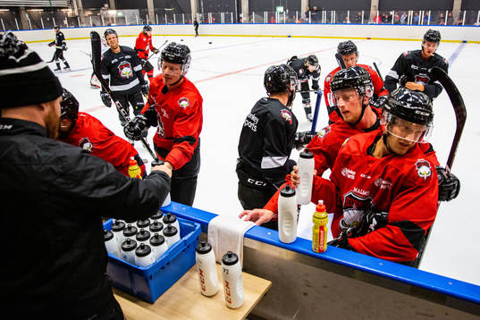 Malmö Redhawks spelare