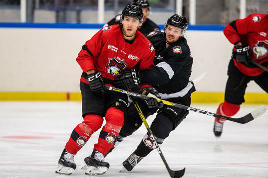 Konstantin Komarek och Emil Molin
