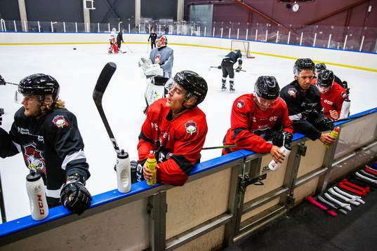 Malmö Redhawks spelare
