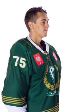 Färjestads Arvid Holm