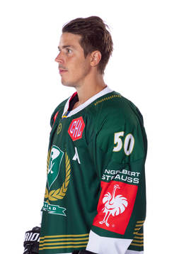 Färjestads Sebastian Erixon