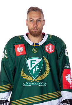 Färjestads Vojtech Mozik