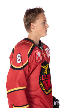 Bläddra bland fler bilder av Ishockey, CHL, Luleå, Porträtt