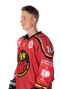 Luleås Jonas Berglund
