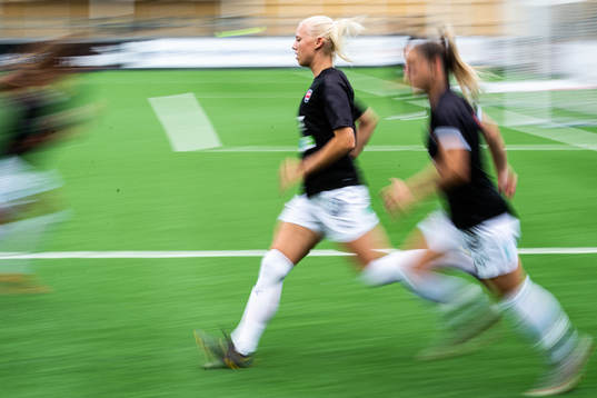 Rosengårds Sofie Svava