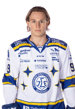 Leksands Marcus Karlberg